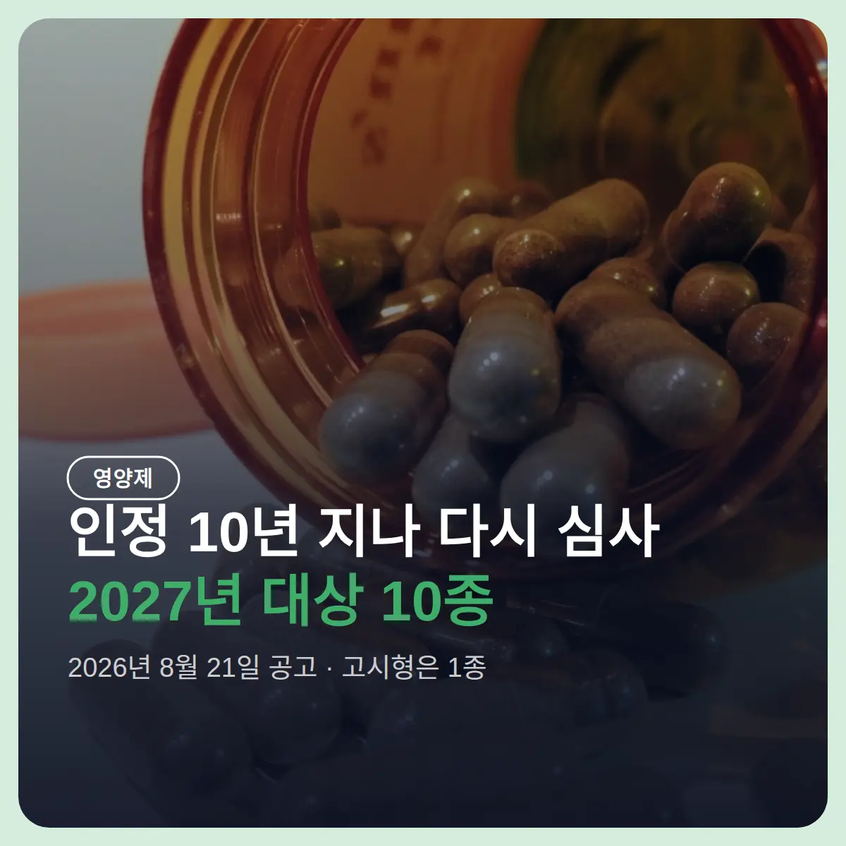 건강기능식품 기능성 원료 재평가, 2027년 대상은 빌베리 등 10종