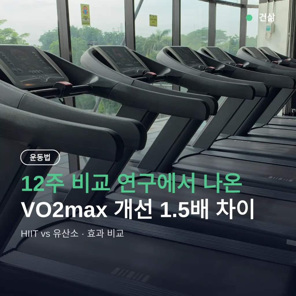 HIIT vs 유산소 차이 12주 비교, VO2max 개선 1.5배