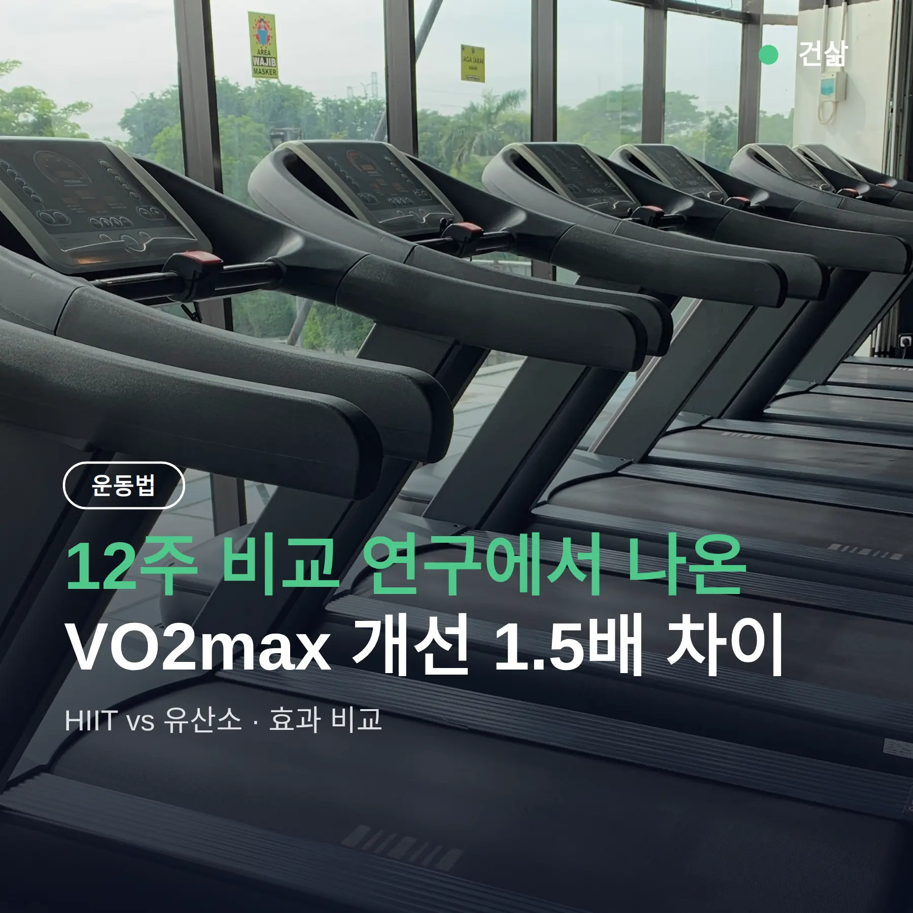 HIIT vs 유산소 차이 12주 비교, VO2max 개선 1.5배