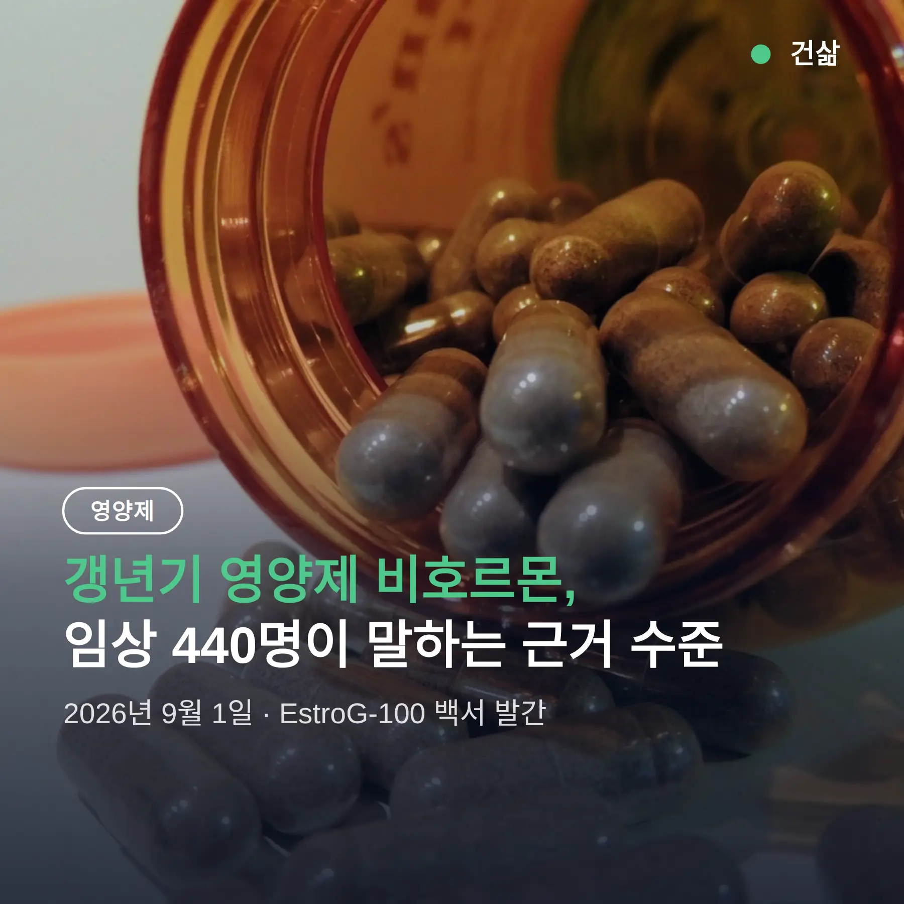 갱년기 영양제 비호르몬, 임상 440명이 말하는 근거 수준