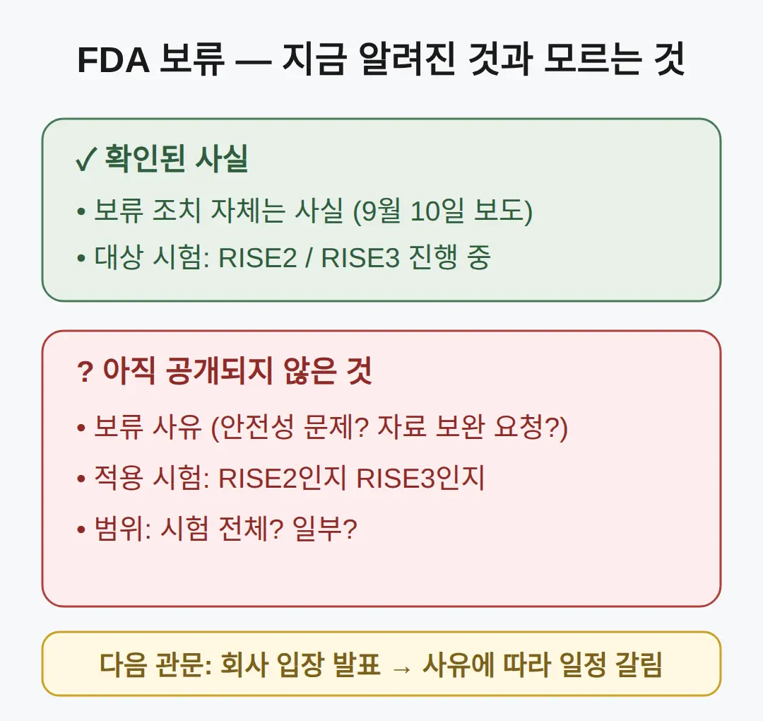 보류 사유와 대상 임상