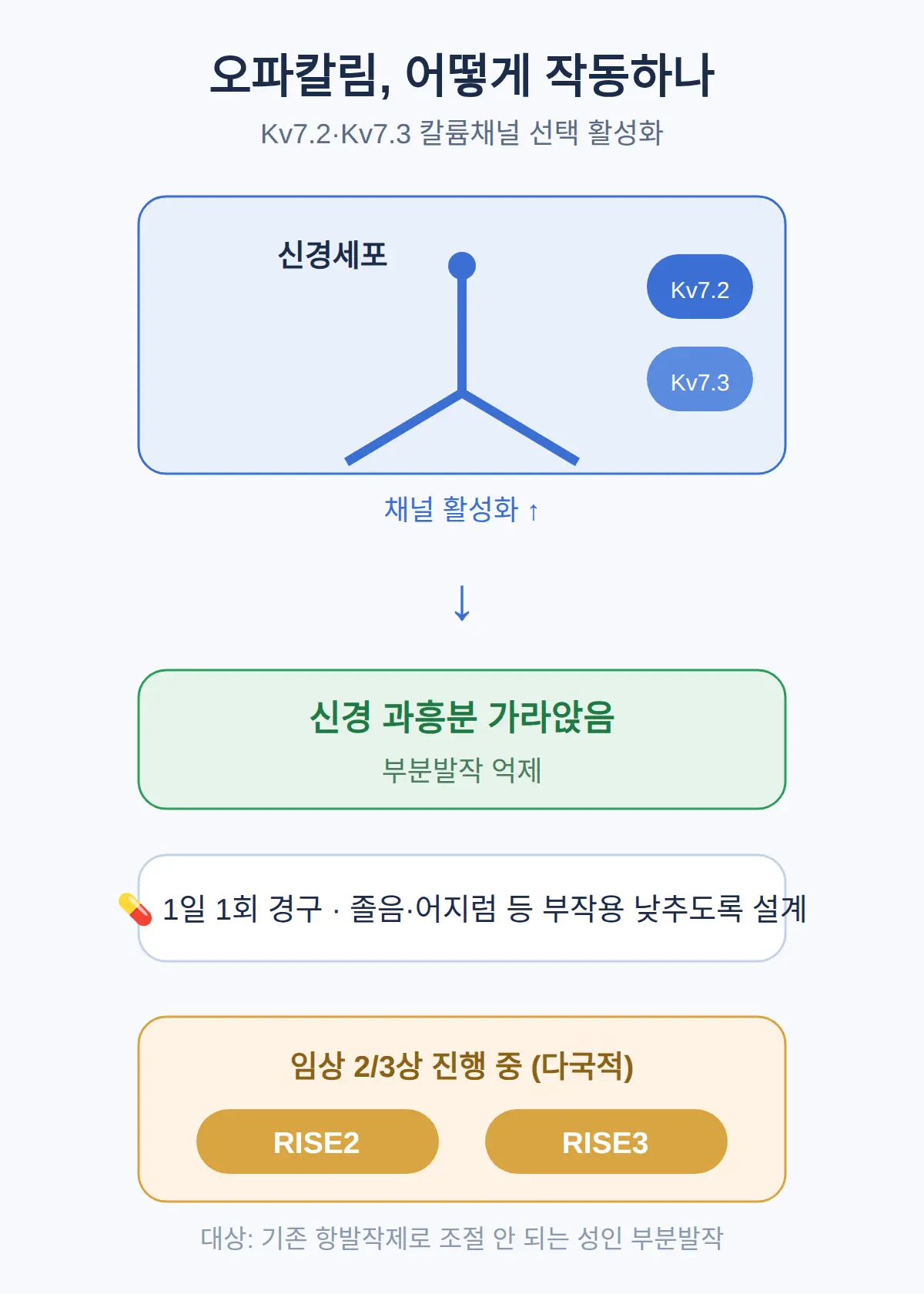 오파칼림은 어떤 작용을 하는 약인가