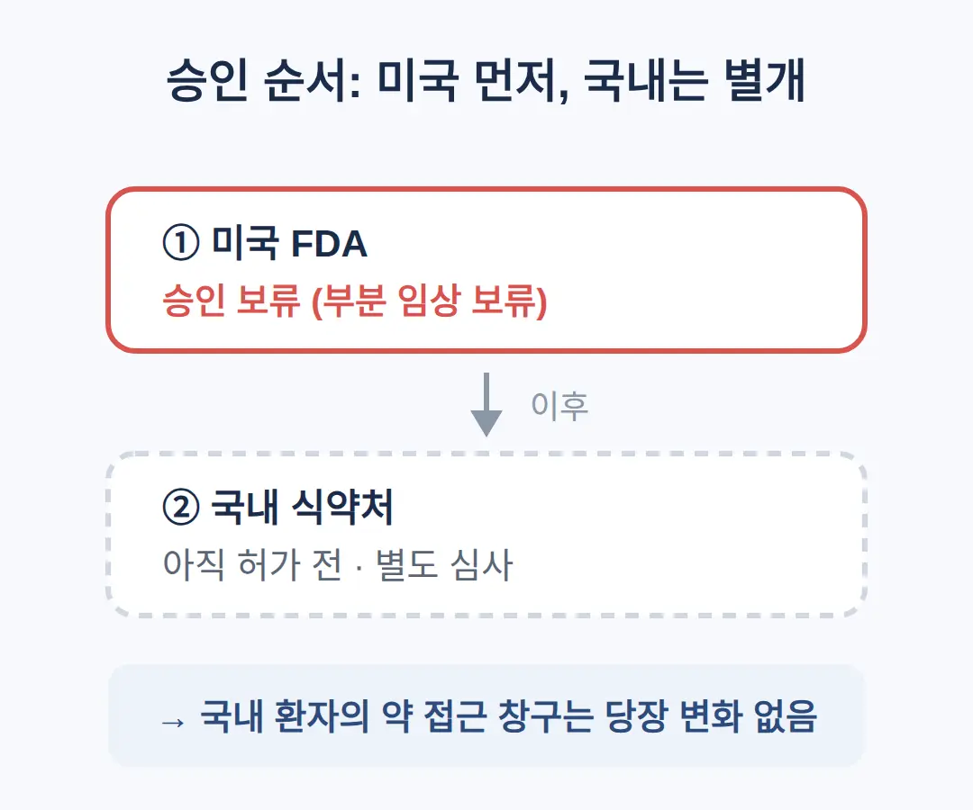 국내 허가는 별개의 관문
