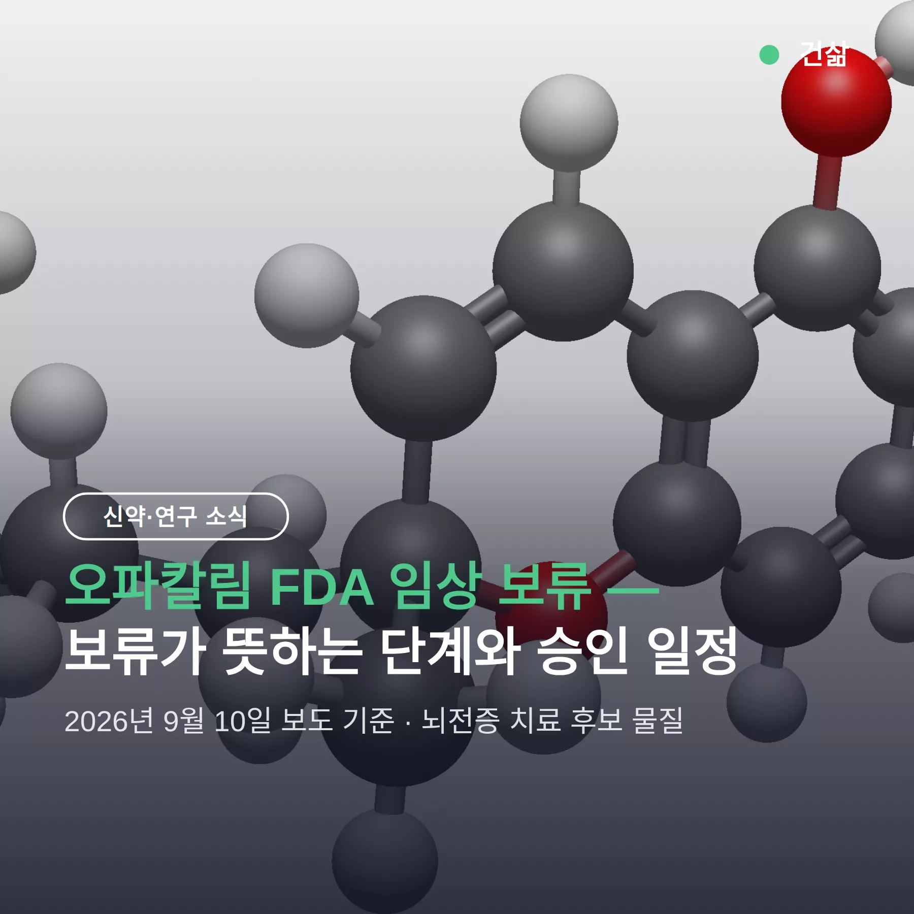 오파칼림 FDA 보류 — 부분 임상 보류의 의미와 승인 일정