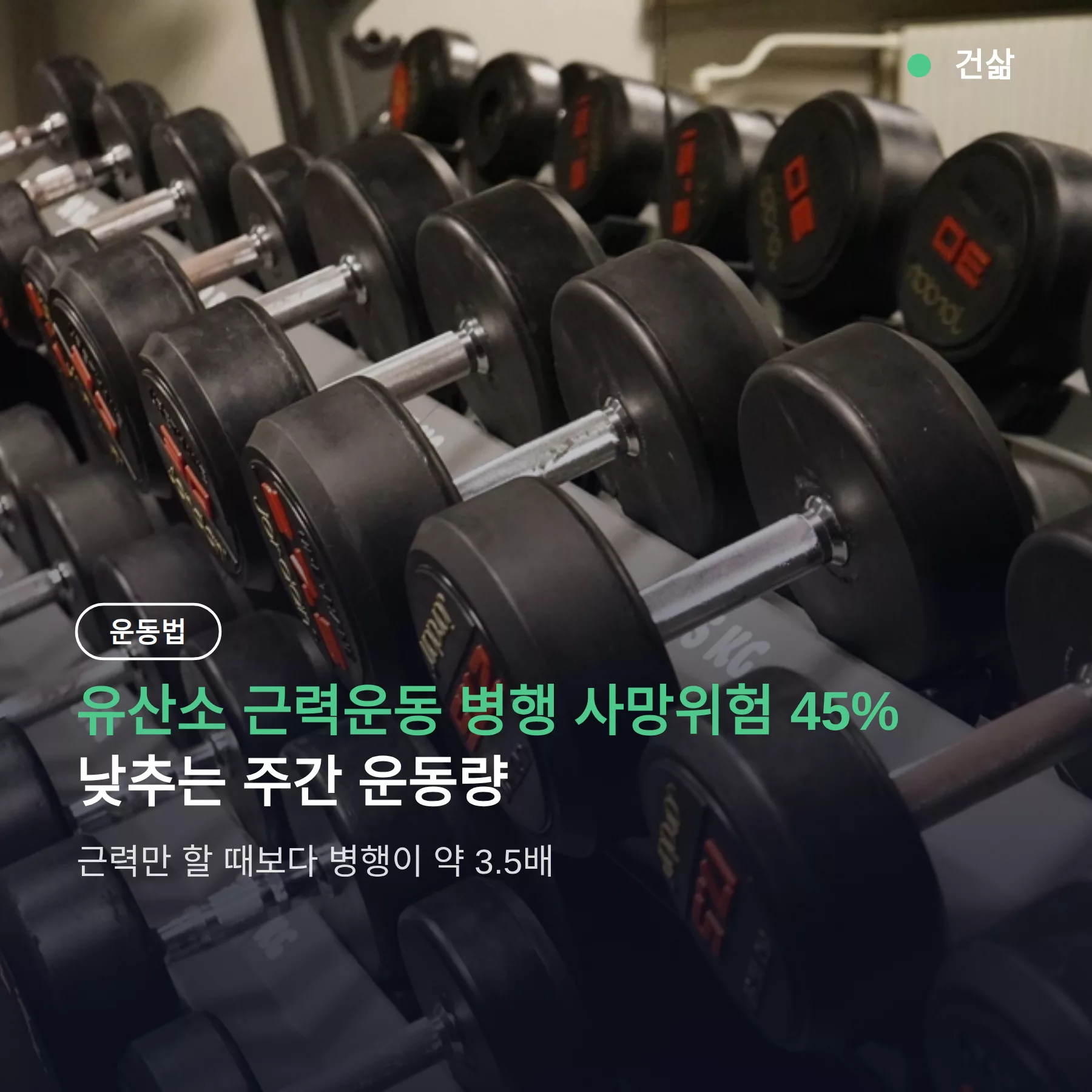 유산소 근력운동 병행 사망위험 45% 낮추는 주간 운동량