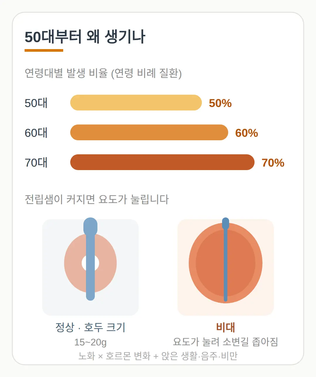 50대부터 왜 생기나 — 노화·호르몬·생활습관