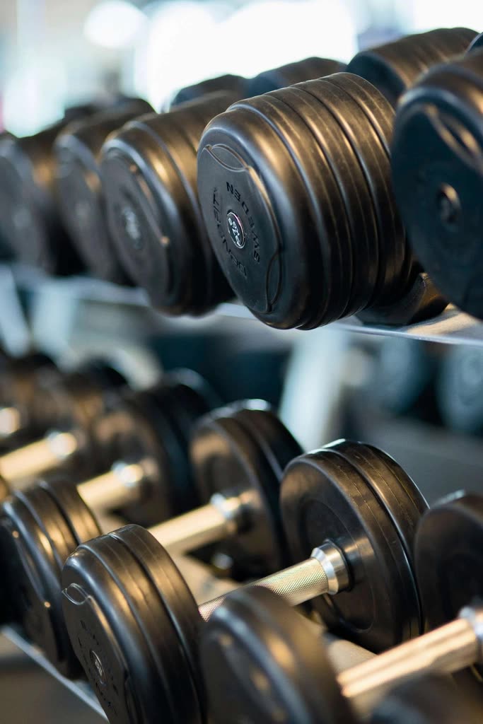 Free gym dumbbell rack photo — 헬스 초보 일주일 루틴 — 주 2~3회 전신(무분할)부터