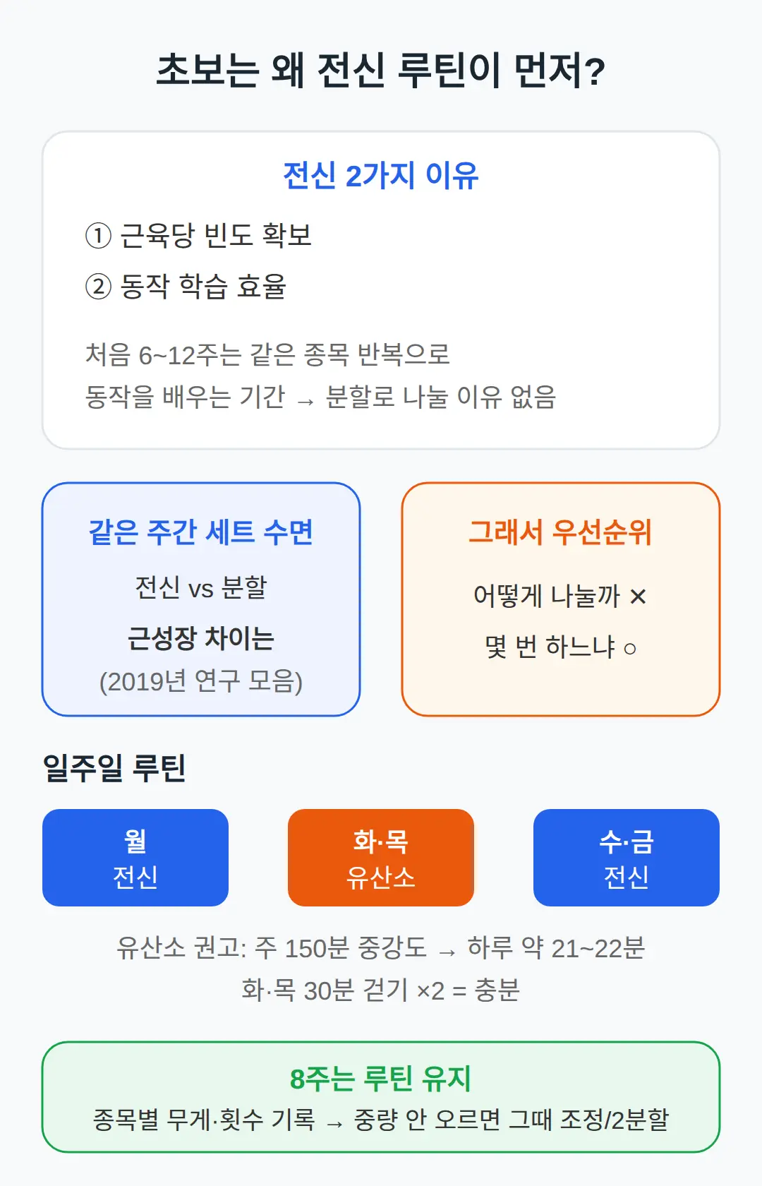 왜 초보는 전신이 먼저인가 — 근거의 수준