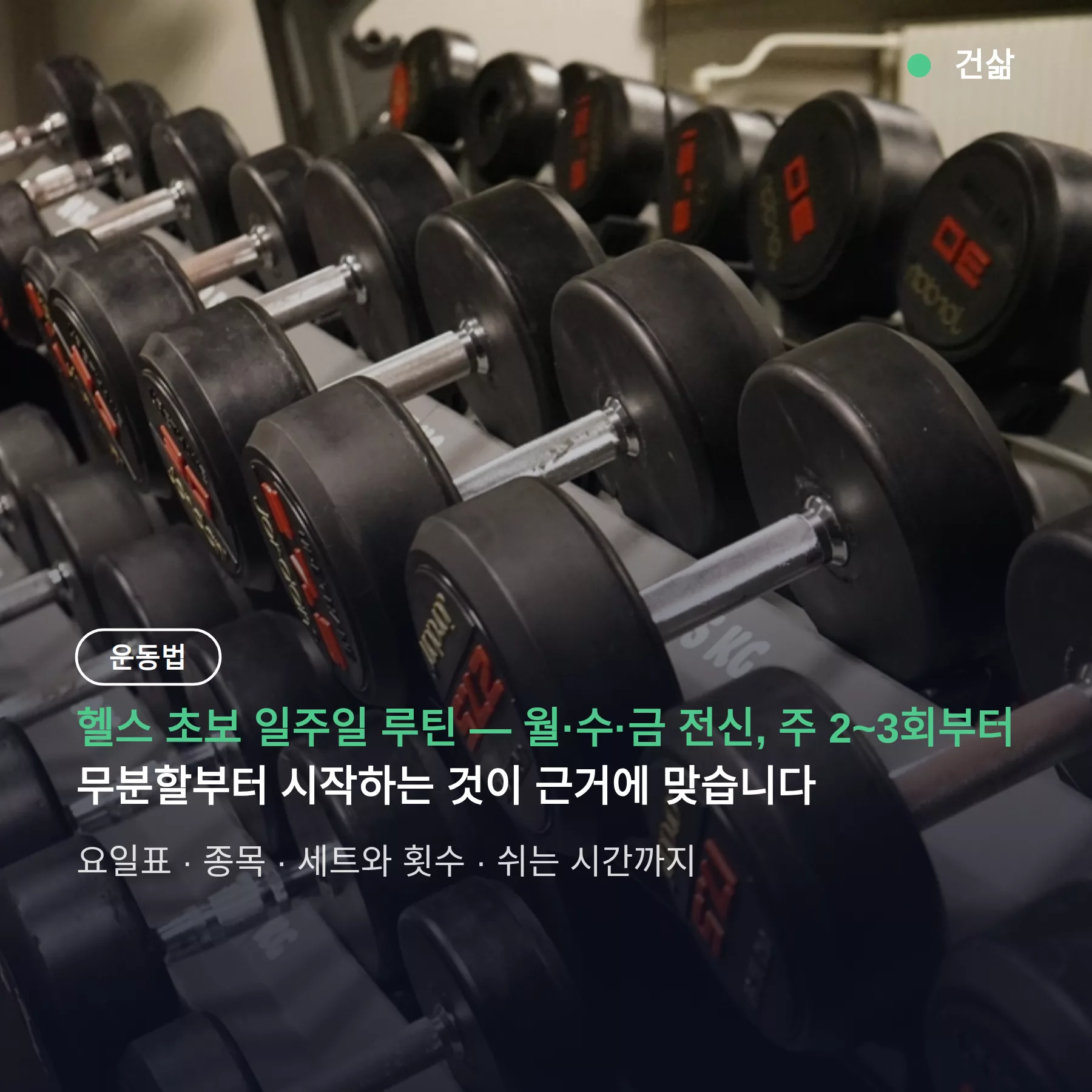 헬스 초보 일주일 루틴 — 월·수·금 전신, 주 2~3회부터