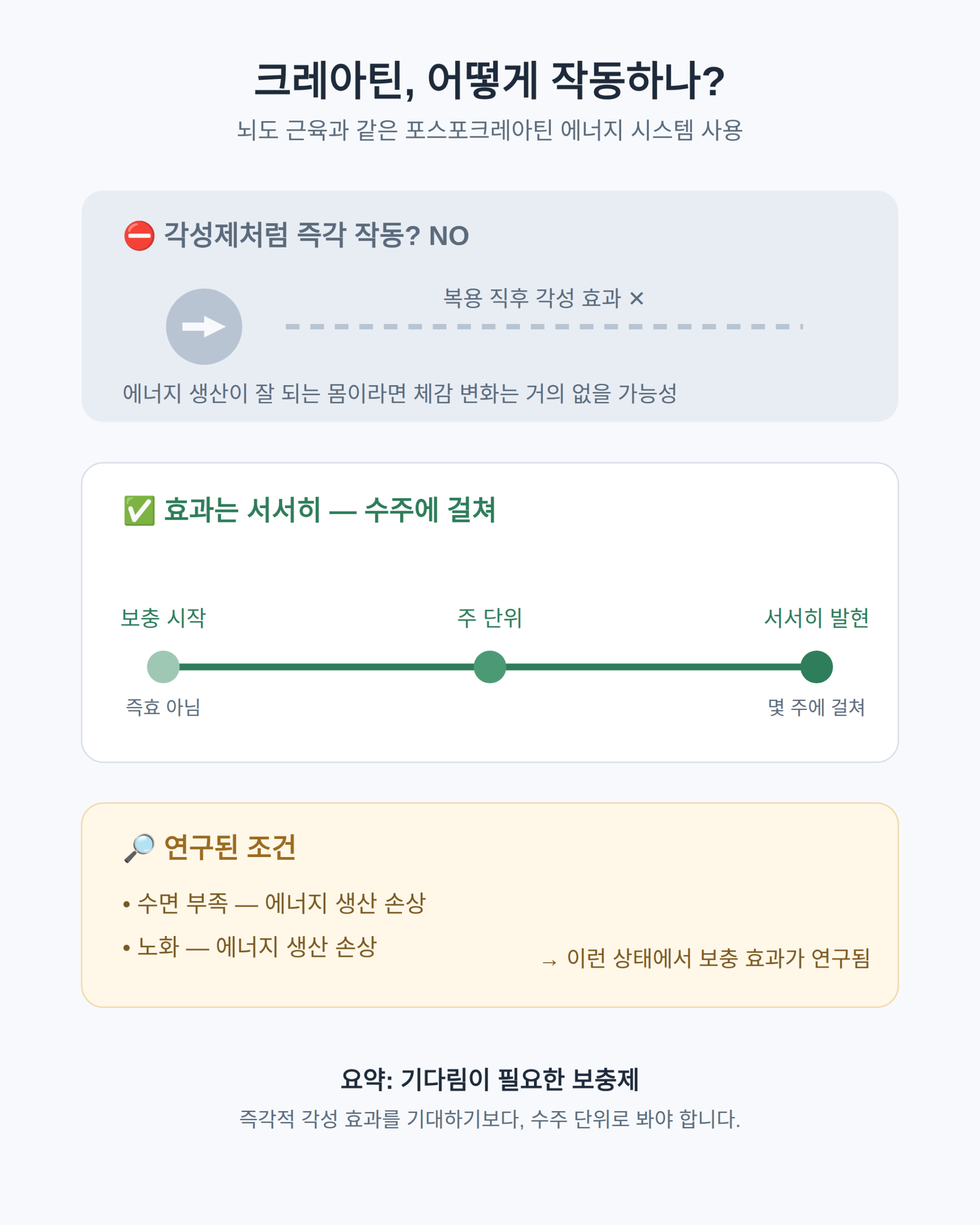 뇌도 쓰는 에너지 시스템 — 작용 원리