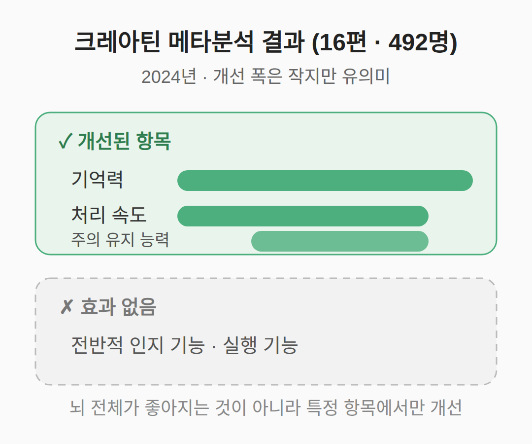 메타분석 결과 — 기억력과 처리 속도