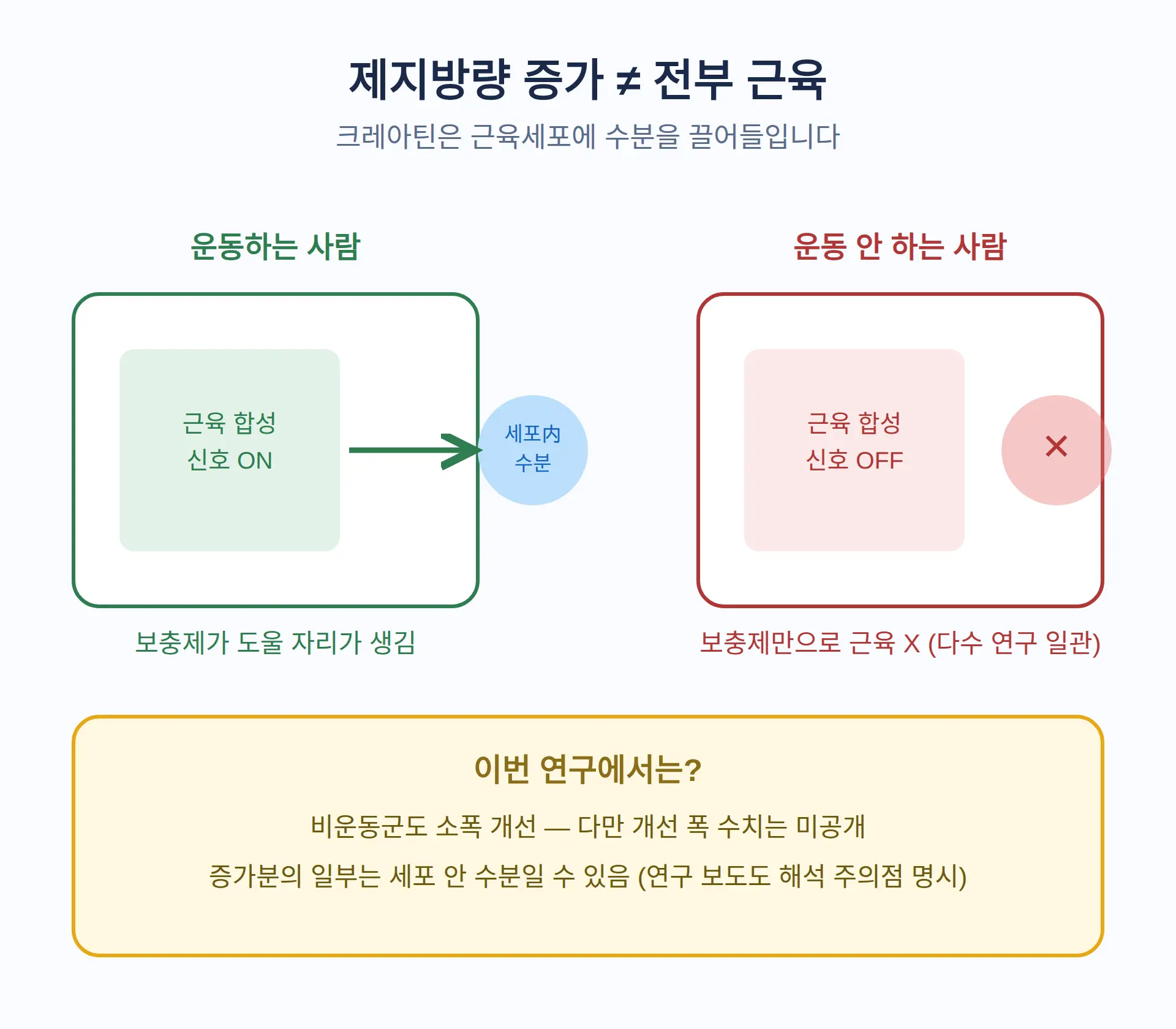 제지방량이 늘어난 숫자, 전부 근육은 아닙니다