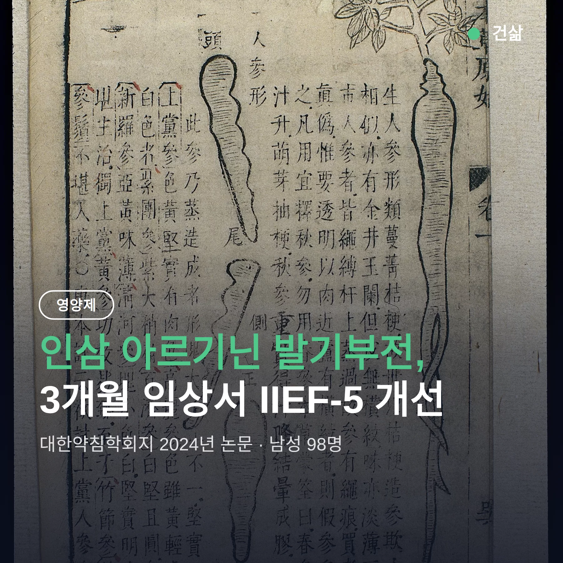 인삼 아르기닌 발기부전, 98명 3개월 임상서 IIEF-5 개선