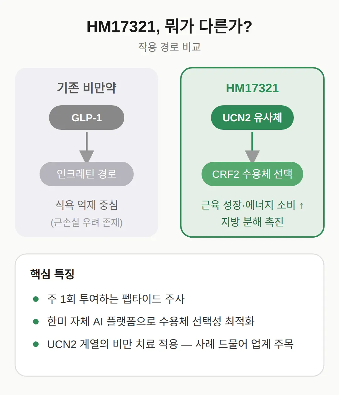 HM17321이란 — GLP-1이 아닌 UCN2 유사체