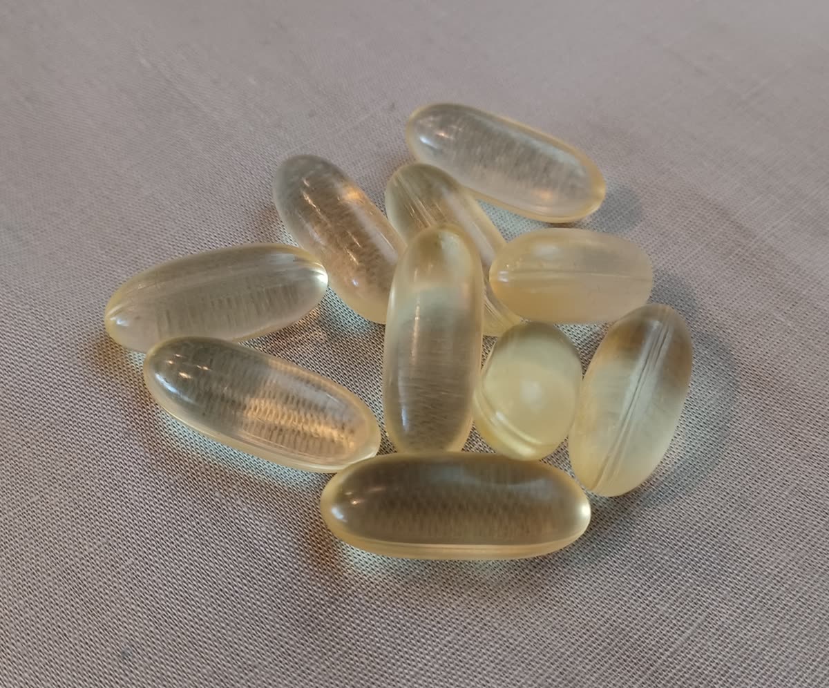 Vegan omega-3 supplements — 고시형과 개별인정형, 원료 인정 방식의 차이