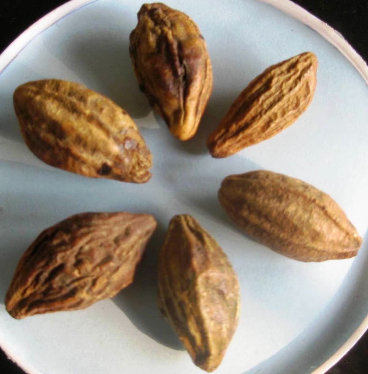 Haritaki (Terminalia chebula) fruits — 가자추출물 효능, 사군자 열매에서 시작된 개별인정 원료