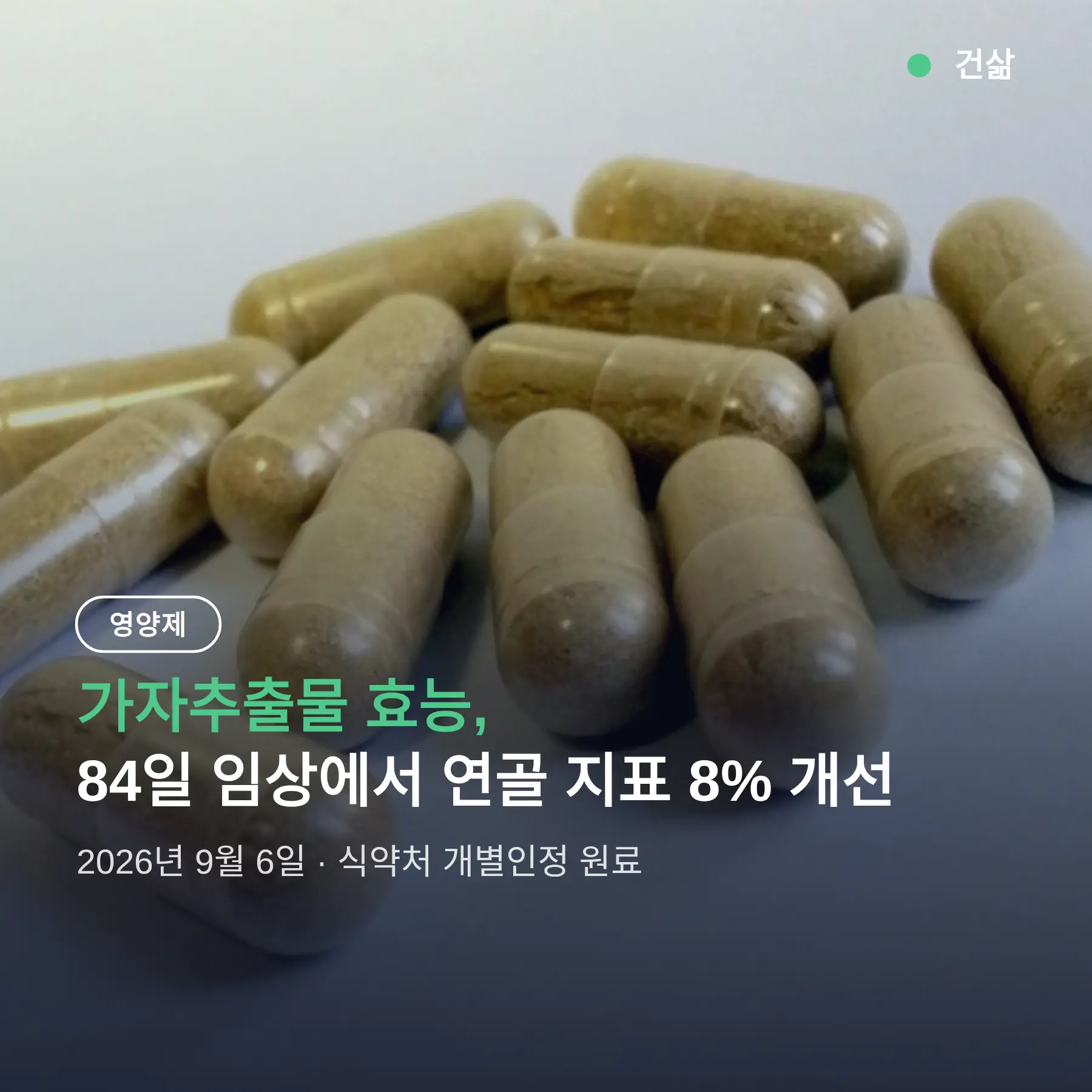 가자추출물 효능, 84일 임상에서 연골 지표 8% 개선