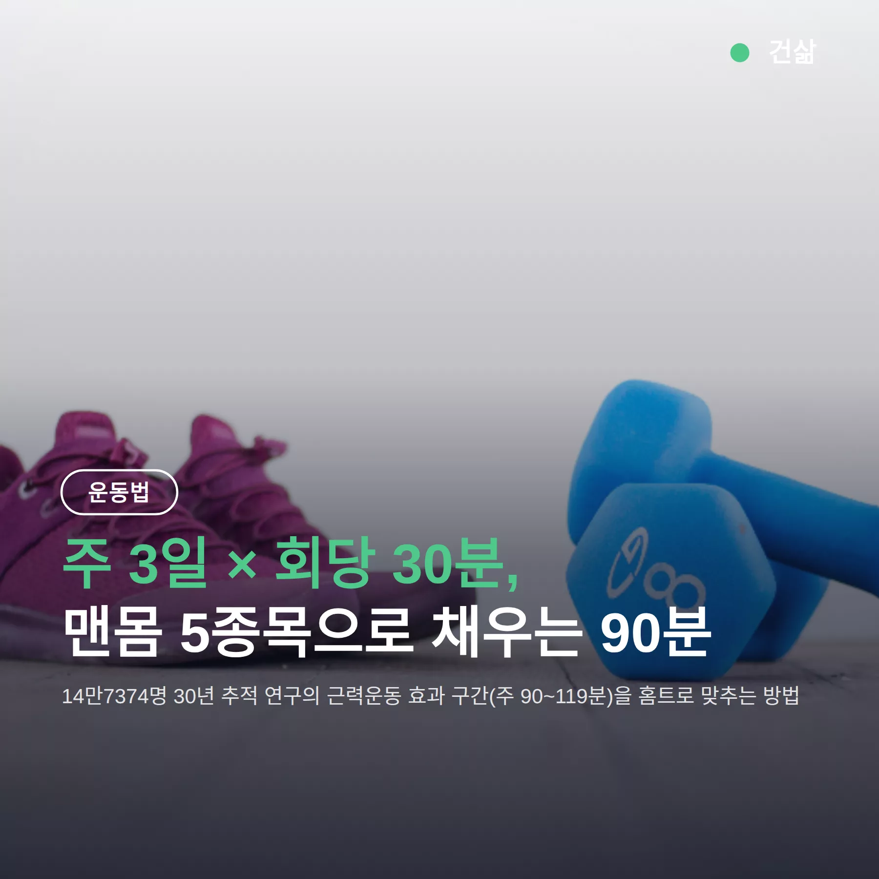 홈트 초보자 루틴 주 3일 회당 30분, 맨몸 5종목 4주표