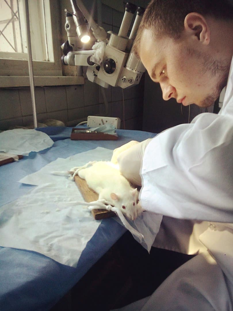 Clinical experiment in peripheral nerve surgery — 쥐 6주 실험 결과