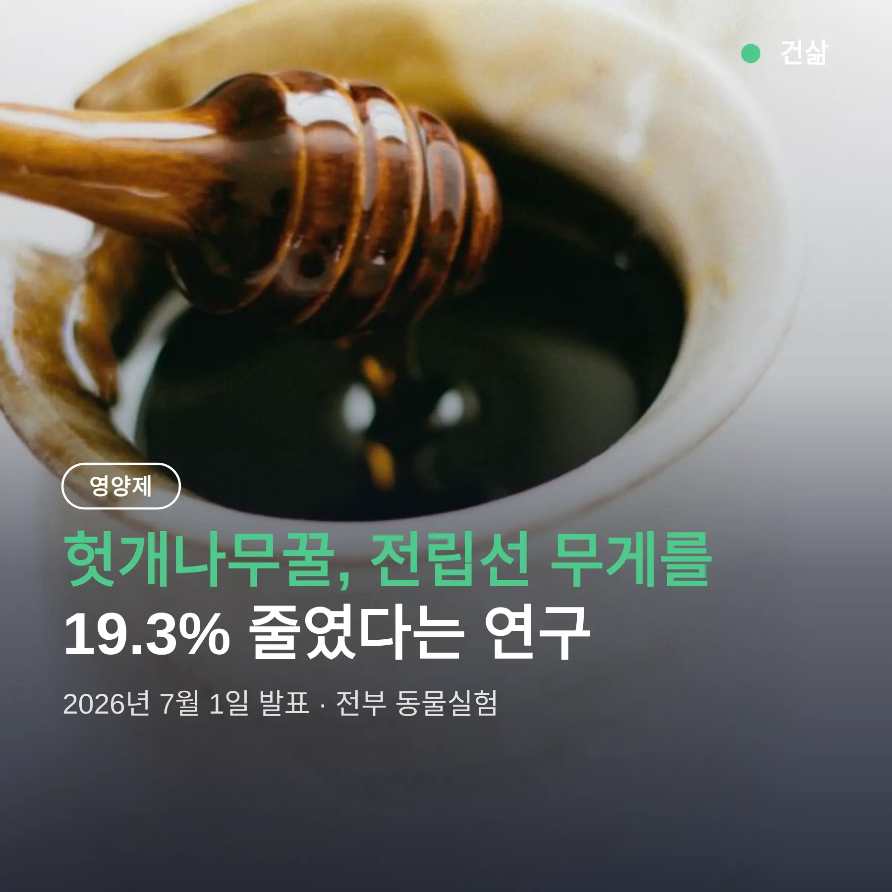 헛개나무꿀 효능, 전립선 무게 19.3% 감소 — 단, 쥐 실험까지
