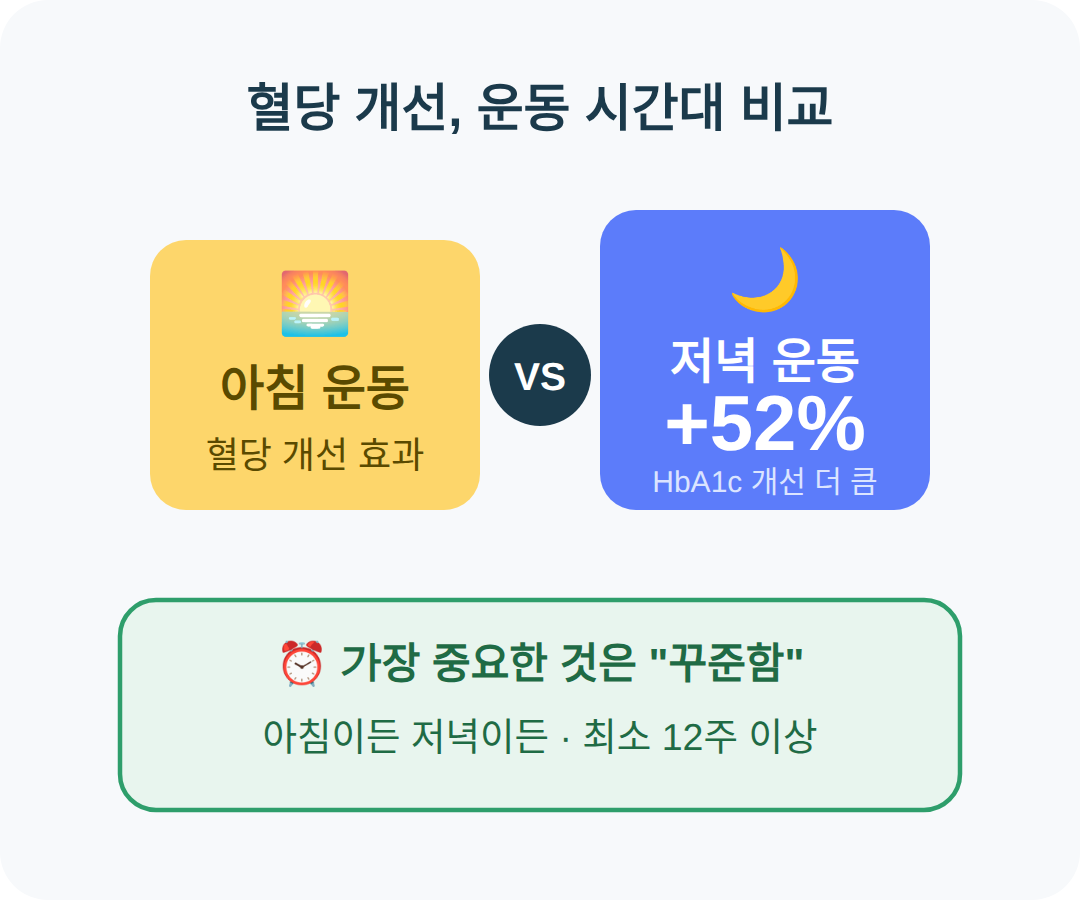 저녁 운동의 HbA1c 개선 52% 더 큼: 결론과 운동 시간대 선택 요령