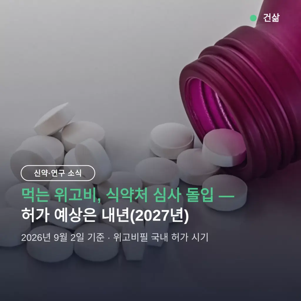 먹는 위고비 언제 국내? 허가 심사 시작, 내년 상륙 전망