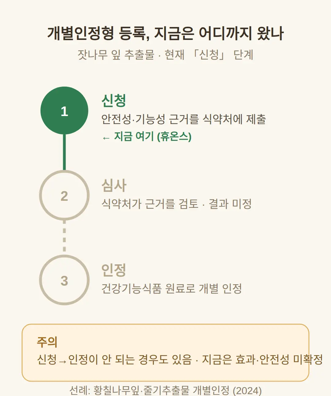 개별인정형 등록이 뭔가요, 지금 어느 단계인가요