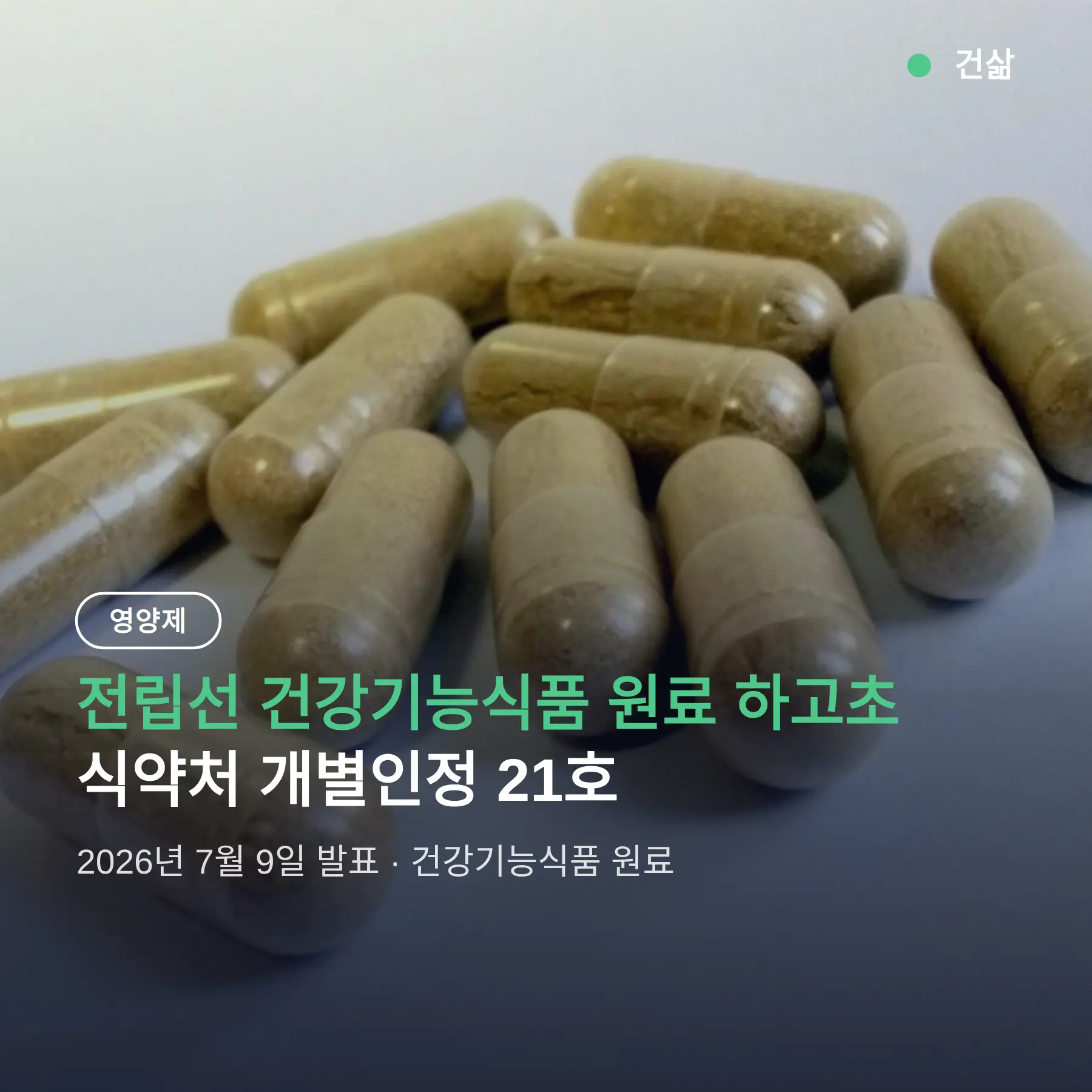 전립선 건강기능식품 원료 하고초추출분말, 식약처 개별인정 검증 단계 정리