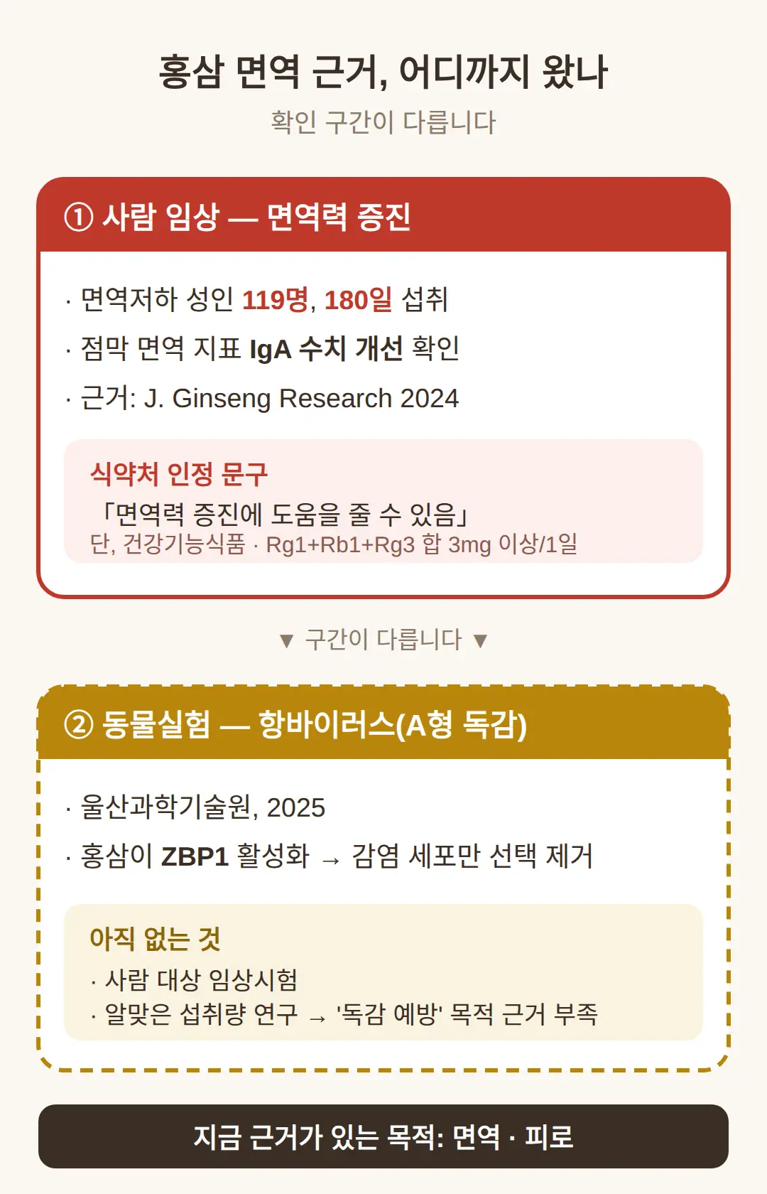 홍삼 면역 기능성, 어디까지 확인됐나