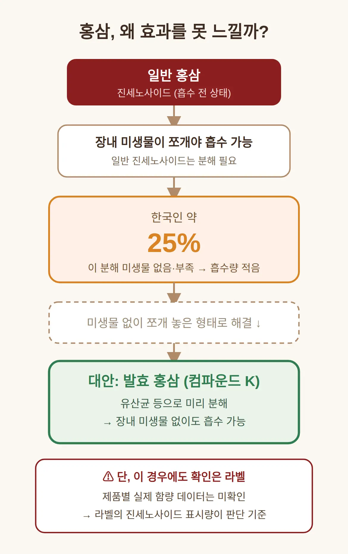홍삼 효과를 못 느끼는 사람, 흡수 문제일 수 있습니다