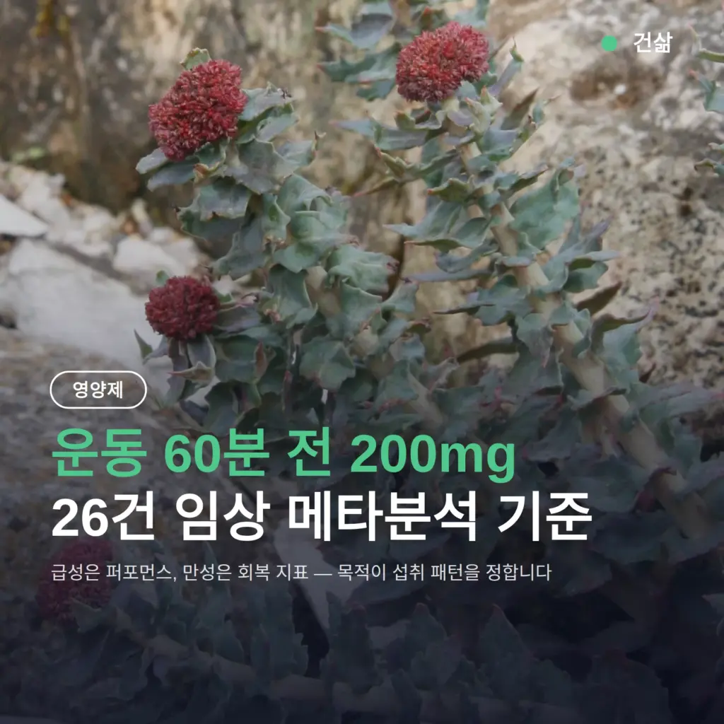 홍경천 운동 효과, 운동 60분 전 200mg이 확인된 답