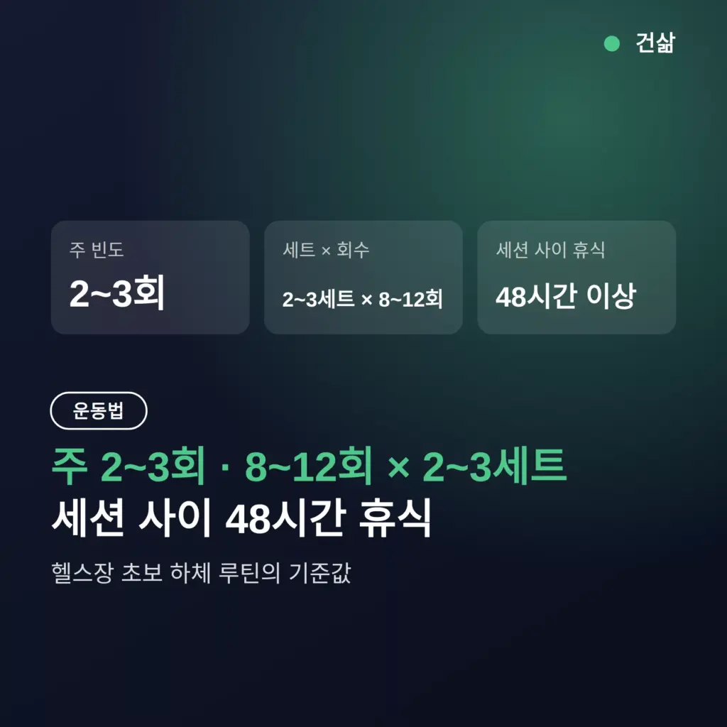 헬스장 초보 하체 루틴, 주 2~3회에 8~12회 2~3세트가 기준