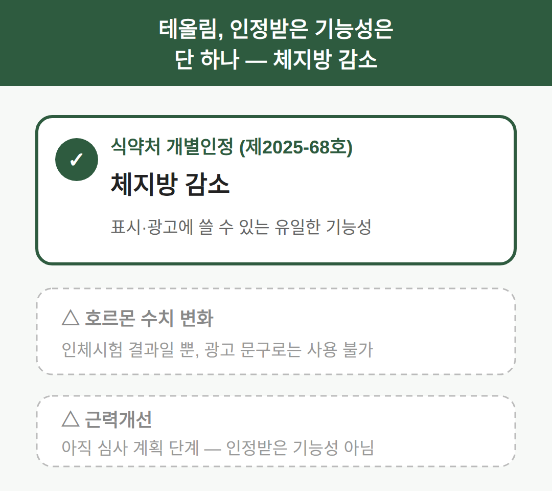 테올림 체지방 감소 — 인정받은 기능성은 '체지방 감소' 하나
