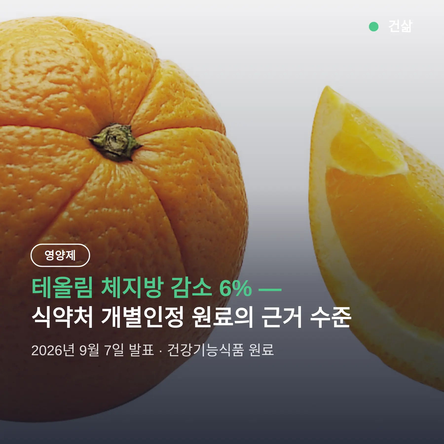 테올림 체지방 감소 6% — 식약처 개별인정 원료, 근육은 지키고 지방만
