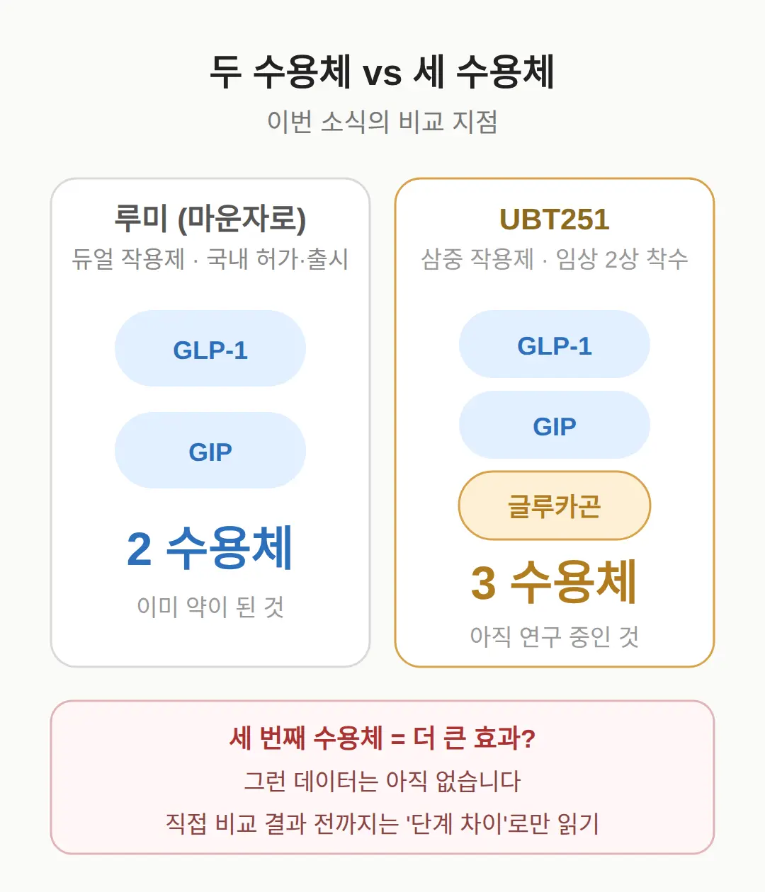 삼중 작용제, 듀얼과 무엇이 다른가
