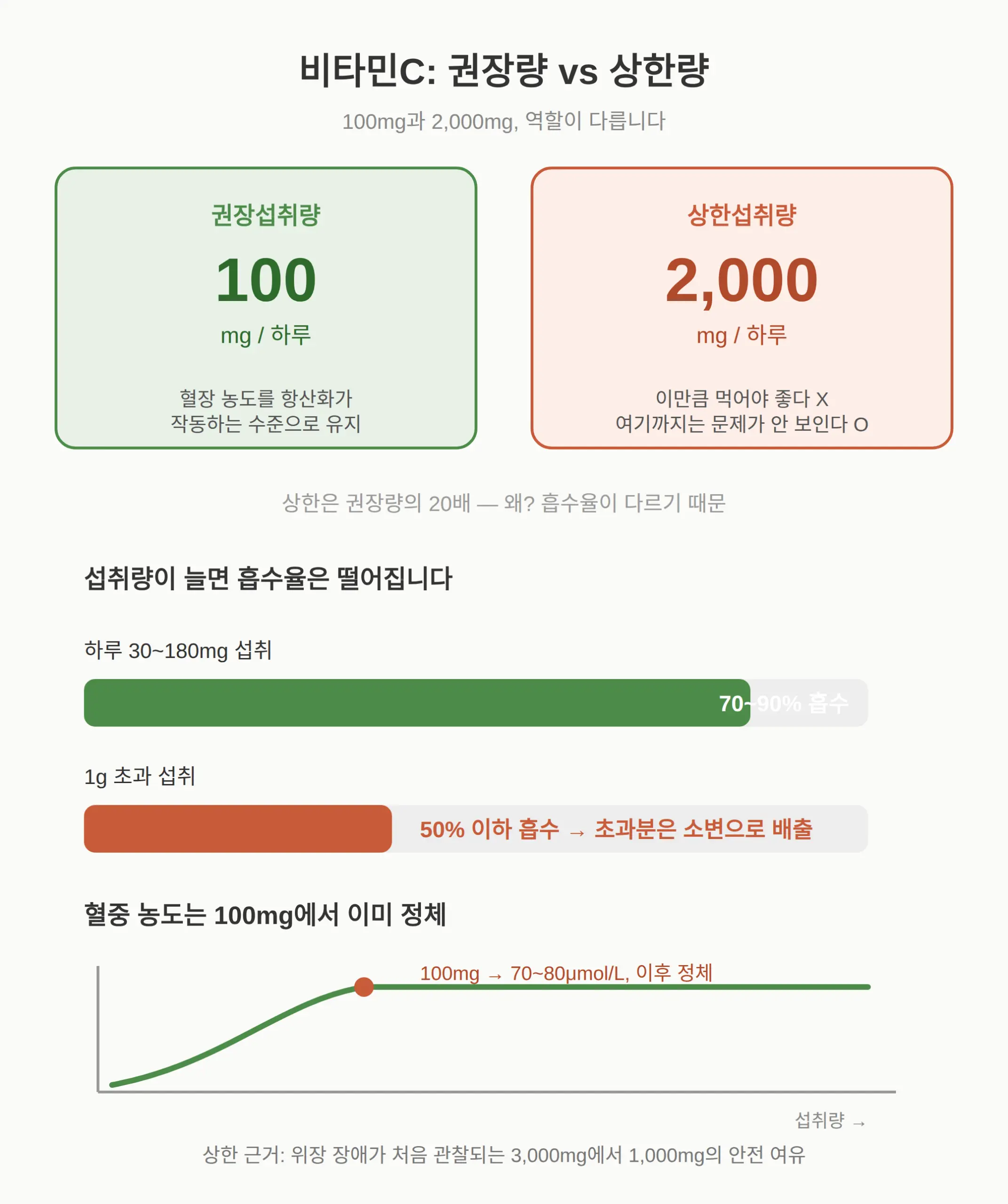 비타민C 권장량은 100mg, 상한 2,000mg과 무엇이 다른가