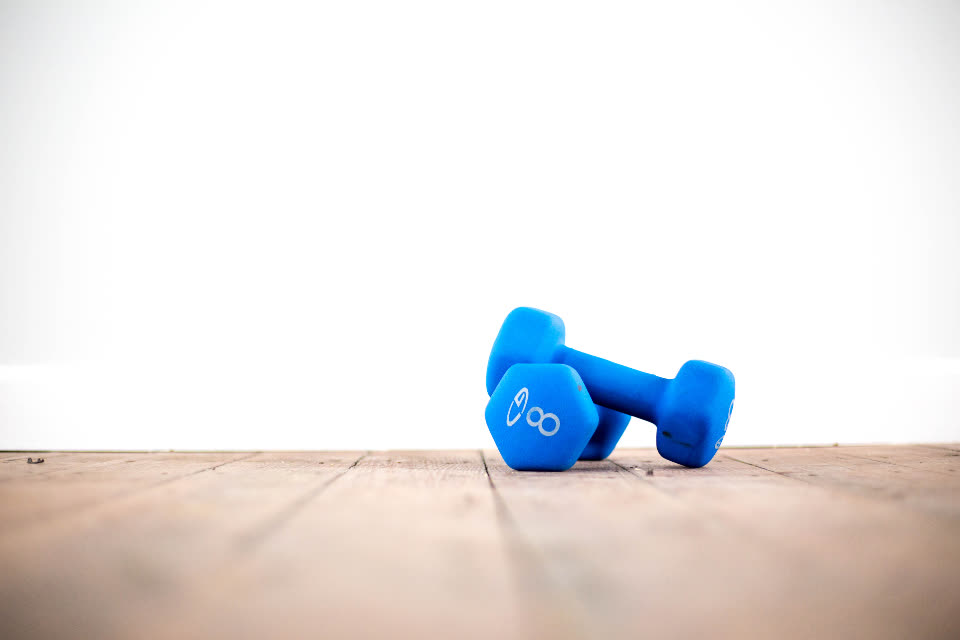 Fitness Weights — 제지방 15.5% 감소가 곧 근육 손실일까