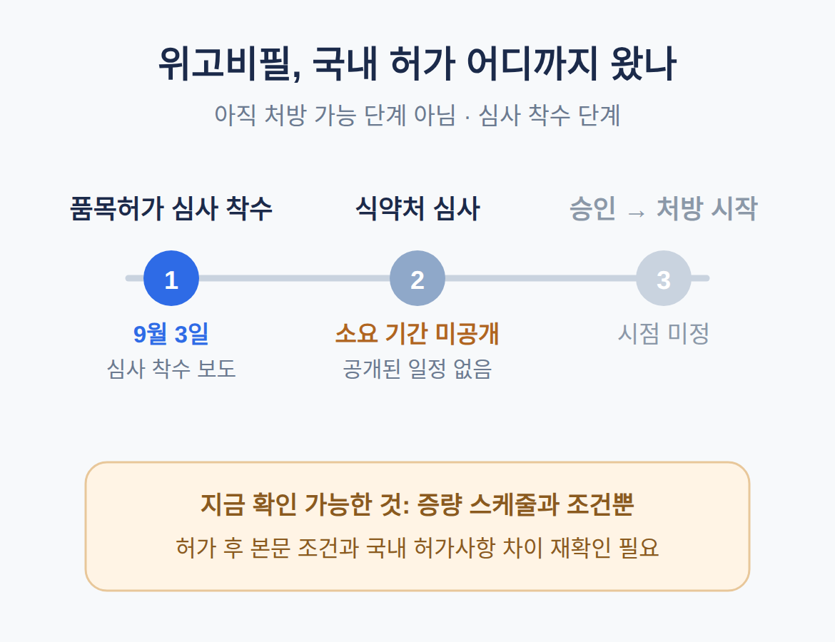 국내 허가, 언제부터 가능한가