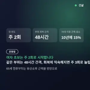 초보자 헬스 루틴 여자, 주 2회 시작과 3분할 12주 — 65세 전후 근력 비중
